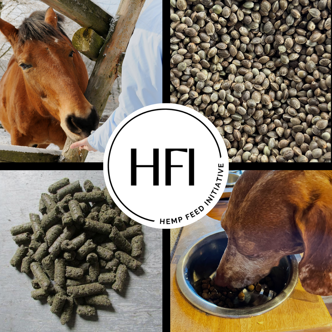 Hemp Feed Initiative Summary Graphic