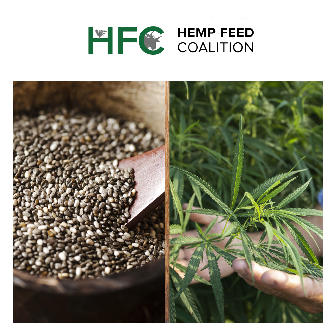 HFC Visuals_Webinar_10-10